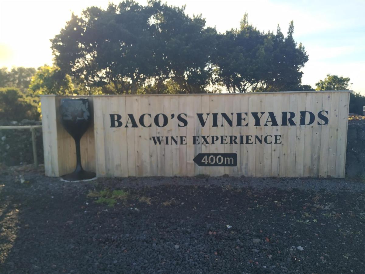 Baco'S Vineyard Βίλα Lajido Εξωτερικό φωτογραφία